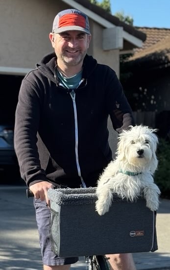 Terrier in the carrier